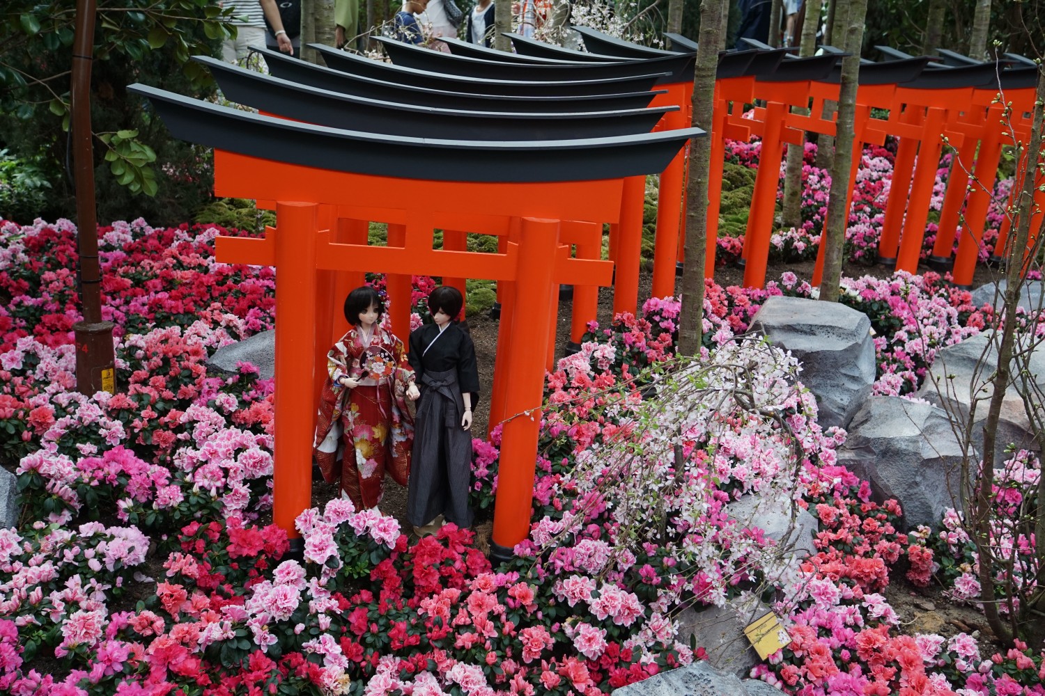 flower-dome-9